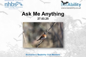 Ask Me Anything – MAR 2025