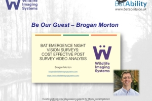 ‘Be Our Guest’ – Brogan Morton – Cost Effective Bat Emergence Survey Video Analysis