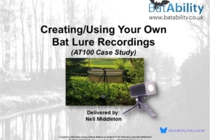 Bat Lures – Creating/Using Your Own Recordings