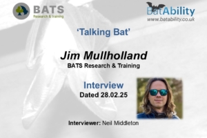 ‘Talking Bat’ – Jim Mullholland (BATS Research & Training)
