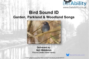 Bird Sound ID – Garden, Parkland & Woodland Songs