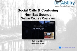 Introducing New Online Course – Social Calls & Confusing Non-Bat Sounds