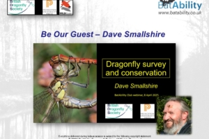 ‘Be Our Guest’ – Dave Smallshire – Dragonfly Surveying & Conservation