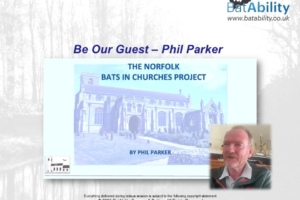 ‘Be Our Guest’ – Phil Parker – Bats In Churches